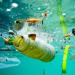 PAGINA ECO: LE MICROPLASTICHE RIDUCONO LA CAPACITÀ DELL’OCEANO DI SEQUESTRARE CO2